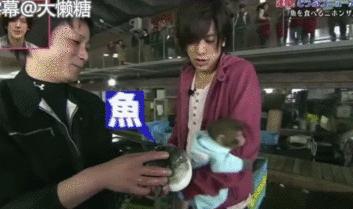 绉冨ご鐚村瓙鍚冮奔,鏃ユ湰鐚村瓙绉冨ご鍚冮潚鑺遍奔