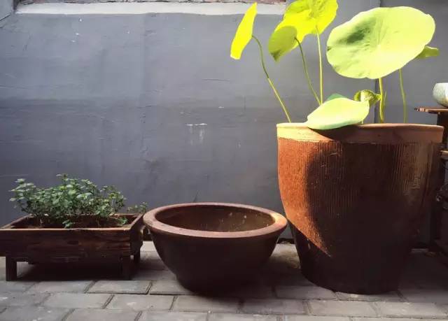 梦想改造家小户型,农村庭院改造效果图大全