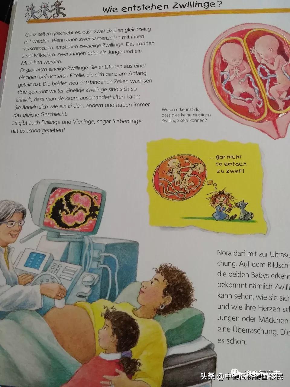 德国性教育绘本,德国儿童性教育