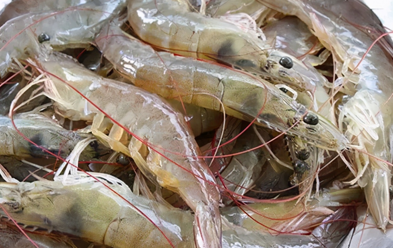 大虾最好吃的5种做法酥脆,大虾做法又简单又好吃不想炸