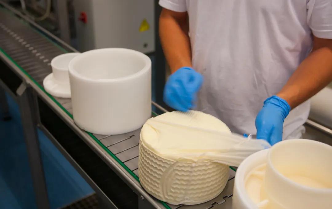 奶酪哪一款口味比较好,哪个品牌的奶酪比较好吃