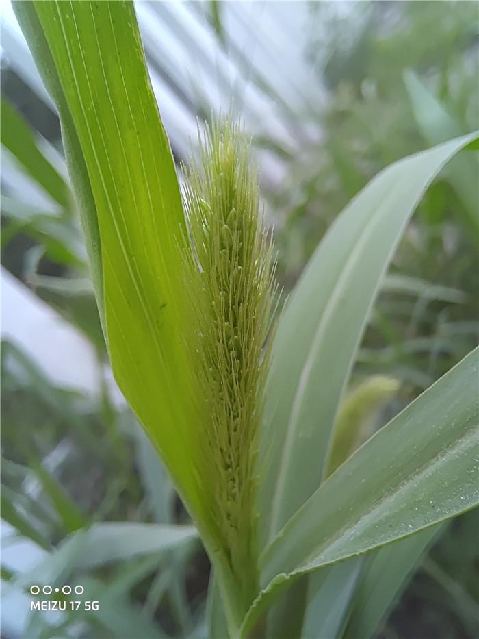 魅族20体验怎么样,魅族20深度体验