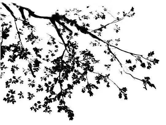 书信消失了,消失的家书有哪些