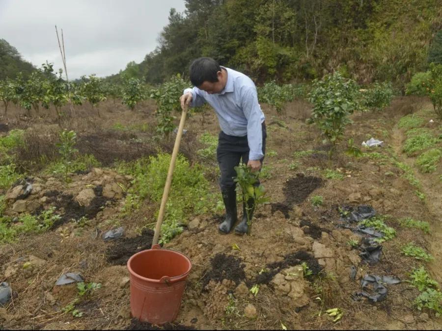 吹响春耕备耕集结号,春耕在希望的田里
