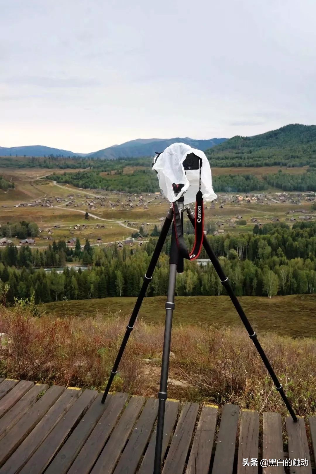 都说新疆好去新疆发展可靠么,都说新疆好地方