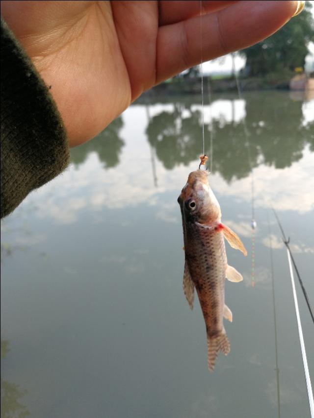 打开新世界之门,世界钓鱼之旅钓大鱼