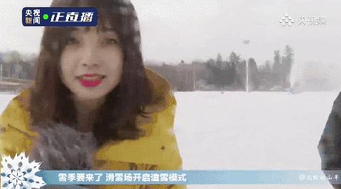 看央视电视剧,最萌主持人