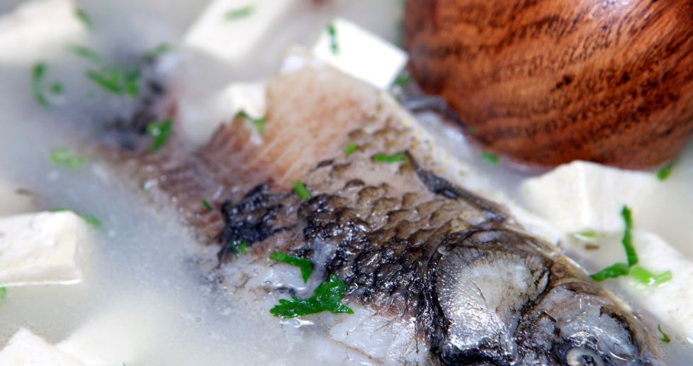 鱼儿食欲怎么样,鱼儿是怎么吃东西