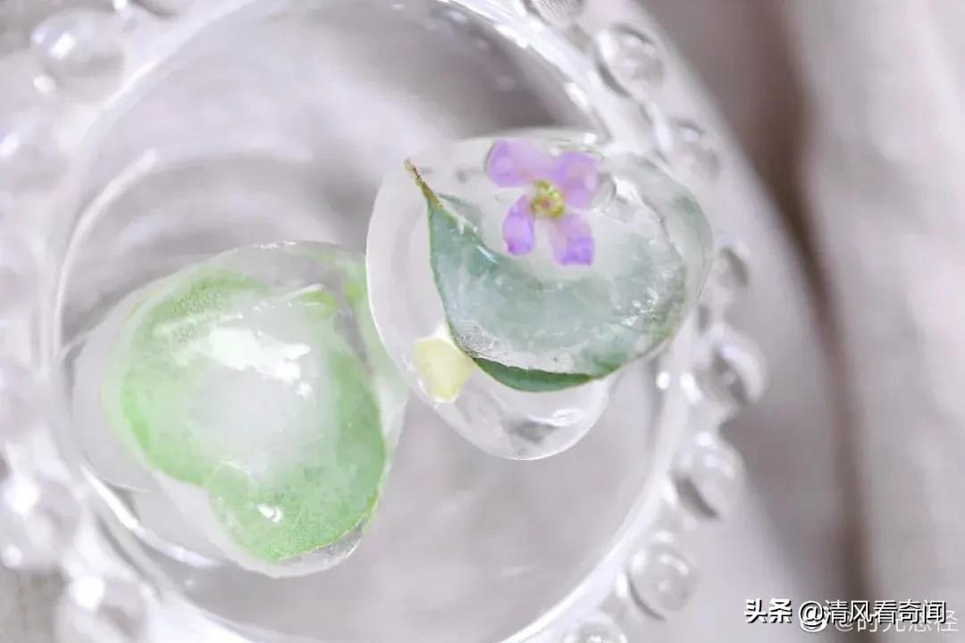 冻冰花美篇,冻冰花的美篇