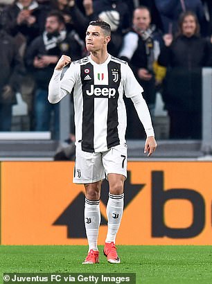 姊呯矇鍜岀綏绮夌殑鐗圭偣,鐪熸鐨勭綏绮夊拰姊呯矇