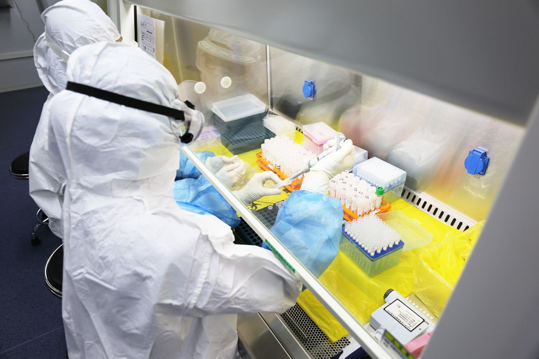 火眼实验室最新,二十一小时建成火眼实验室