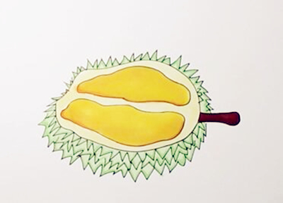 简笔画教你怎么画各种水果,简笔画怎么画各种水果步骤图