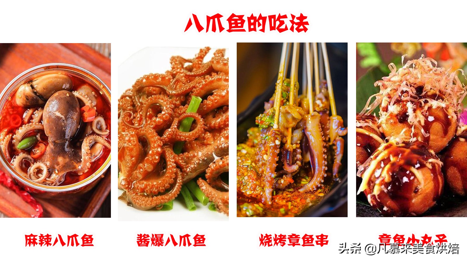 海兔墨鱼和八爪鱼哪个好吃,八爪鱼墨鱼鱿鱼海兔