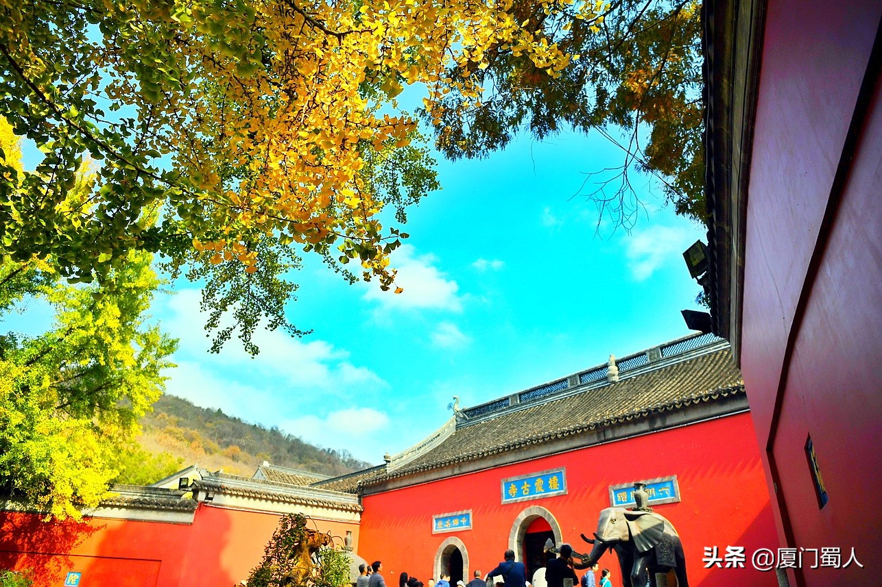 南京四大赏枫地 (南京赏枫胜地)