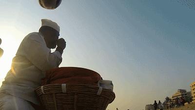 养一只流浪狗的感受,流浪狗的真实内心独白