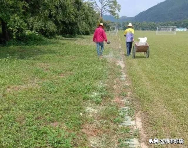 广西梧州治疗毒蛇咬伤,梧州被毒蛇咬