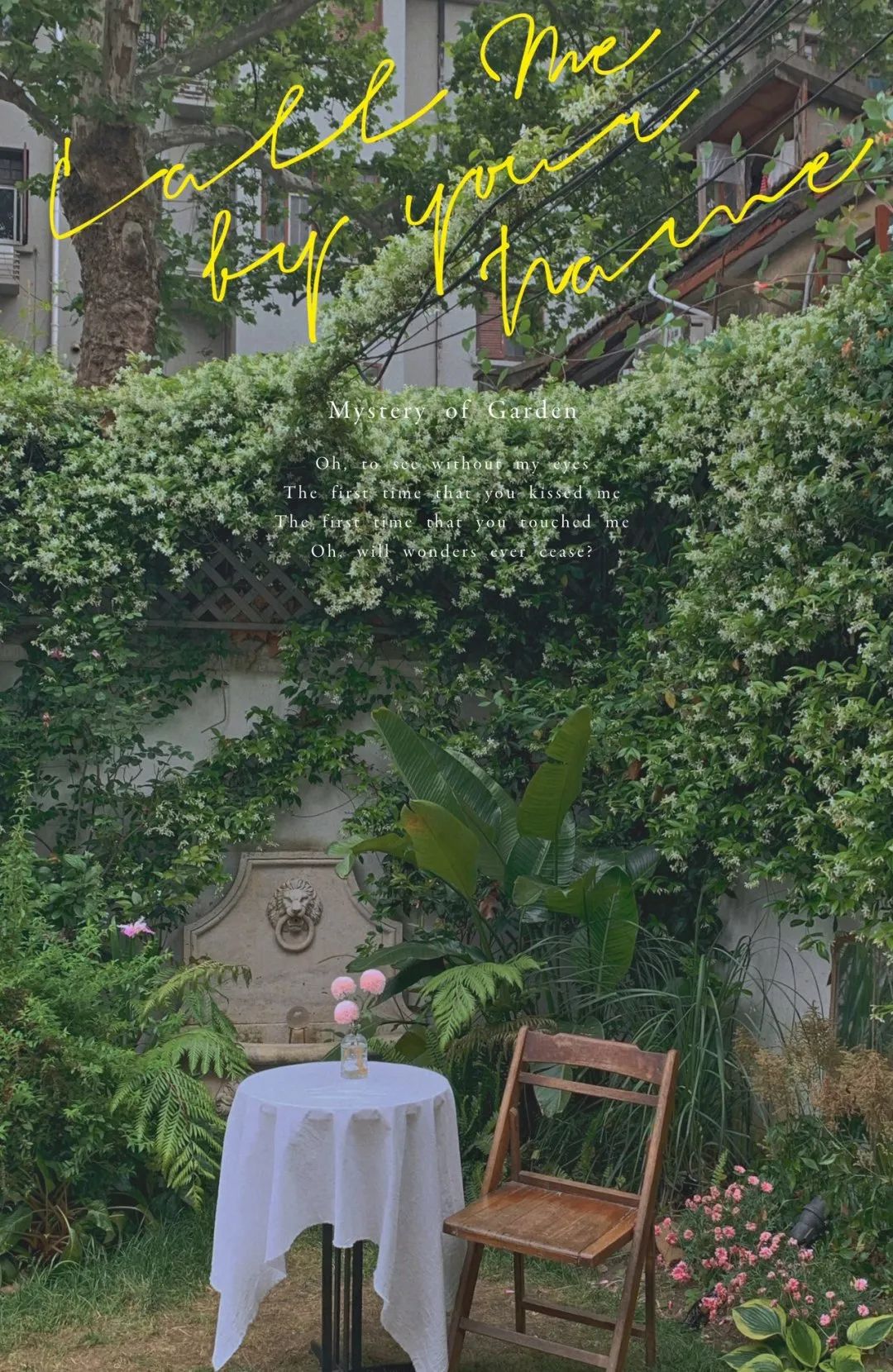 上海新开餐厅名单,上海好吃环境又优雅的餐厅推荐