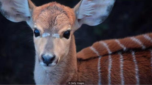 人工智能改变人类社会面貌,人工智能ai未来解析