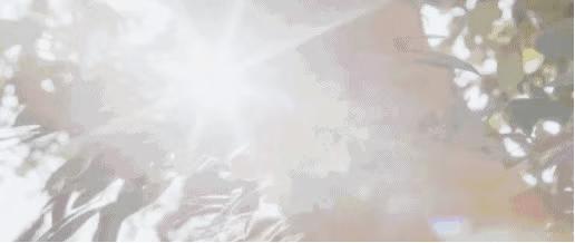 名牌香水动辄上千，「*宗罪七**香水」一套七瓶，实力演绎“七个我”