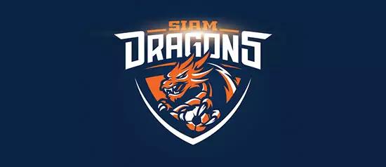 以龙为元素的logo图片,龙logo极简设计