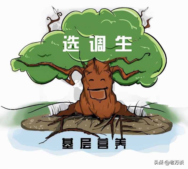 选调招录高校,浙江省属高校的选调