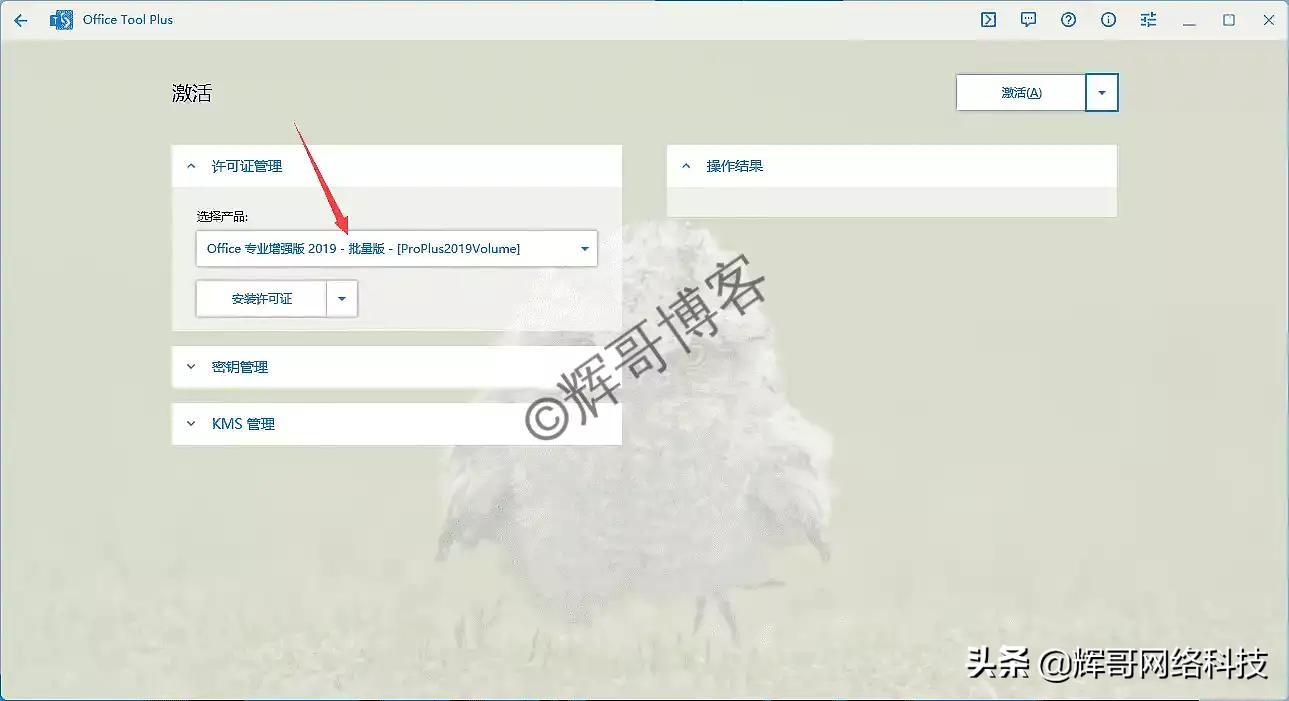 windows安装office,windows安装网站