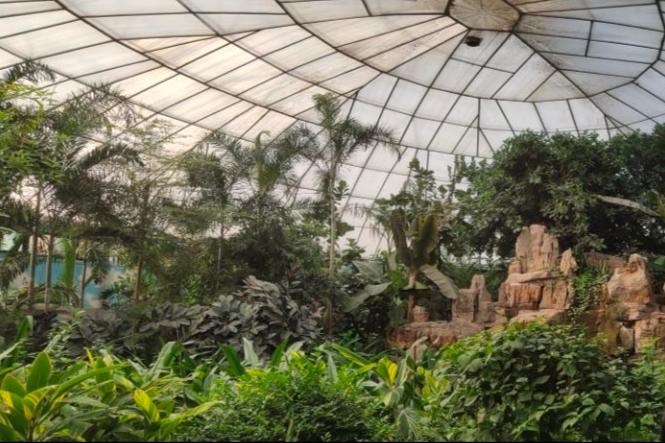 郑州市动物园30元门票都包含什么,郑州市动物园门票多少钱一张