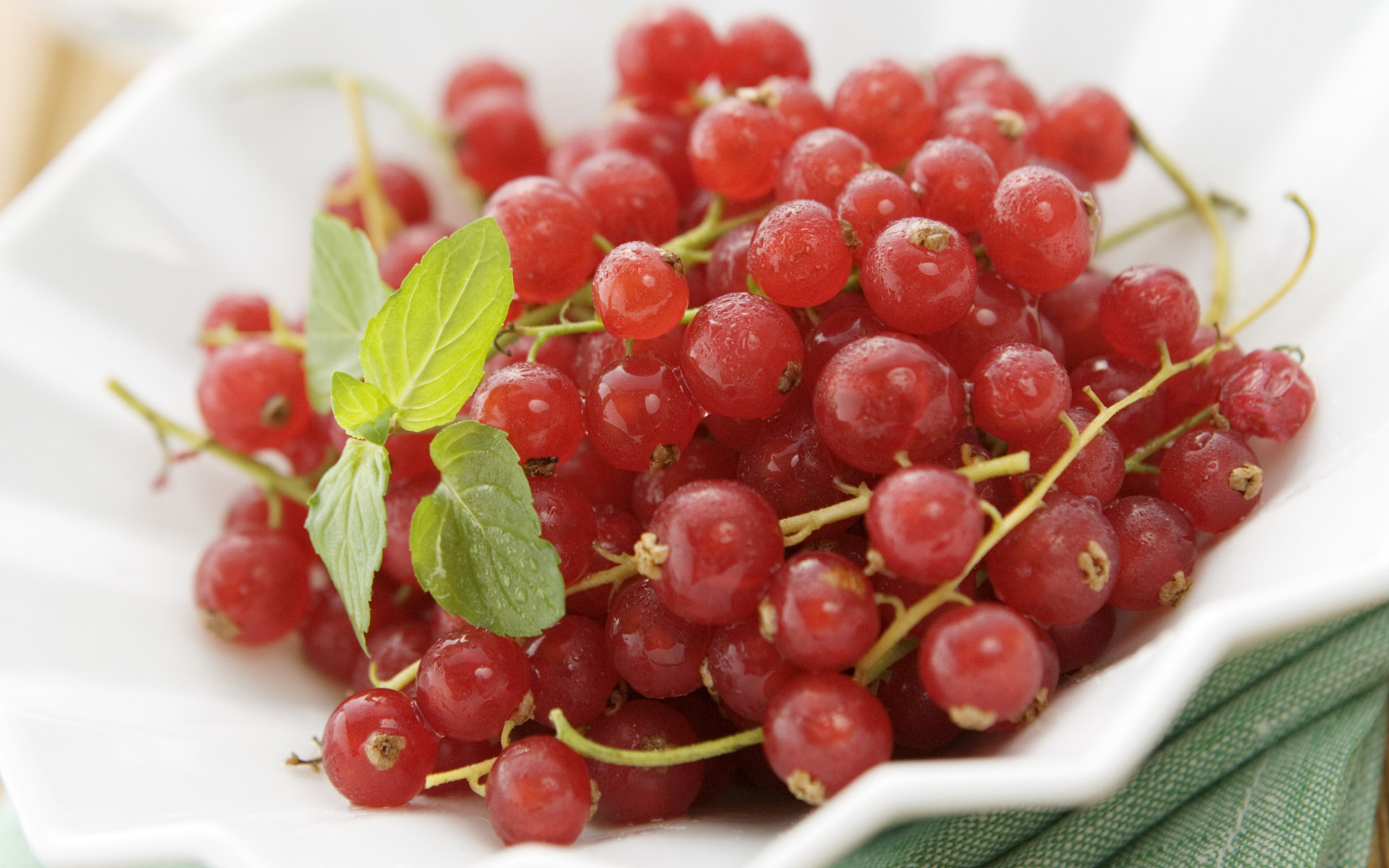 它是天然清肺王,它是天然的止咳王