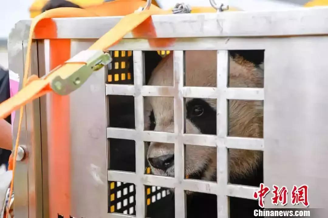 黑龙江17种抗癌药报销,黑龙江医保抗癌药怎么报销