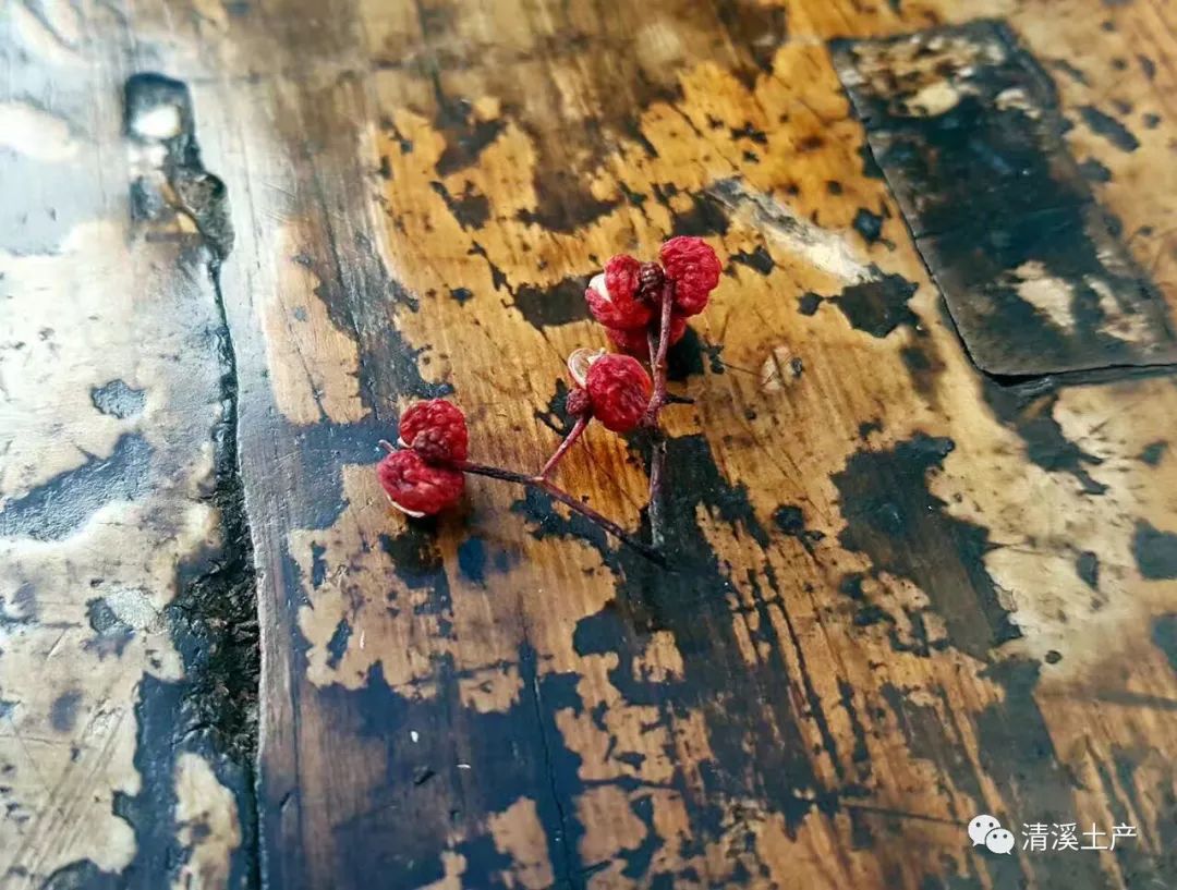 汉源花椒历史文化背景