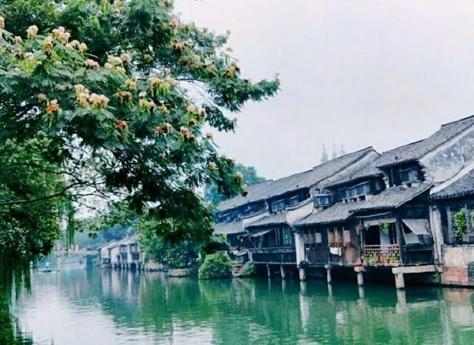 人生建议一定要来一次乌镇,一生一定要去一次的乌镇