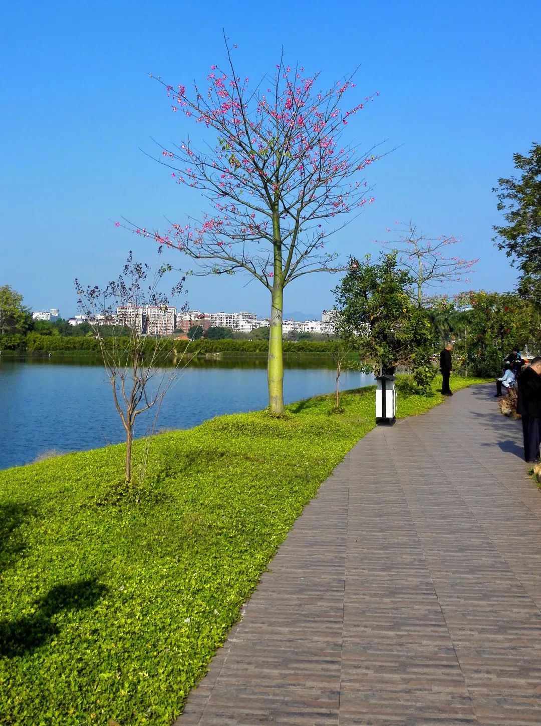 梅州游玩景点一日游免费,梅州免费旅游景点大全介绍