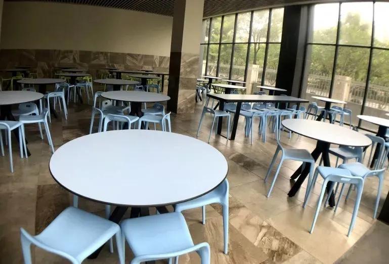 佛山市学费最贵的学校,佛山学费最贵的学校