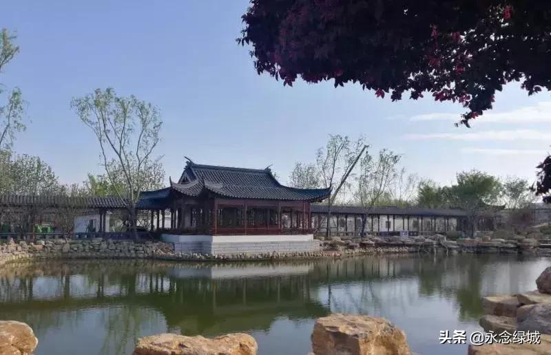 南阳世界月季大观园开幕邀请,南阳月季大观园门票现在免费政策