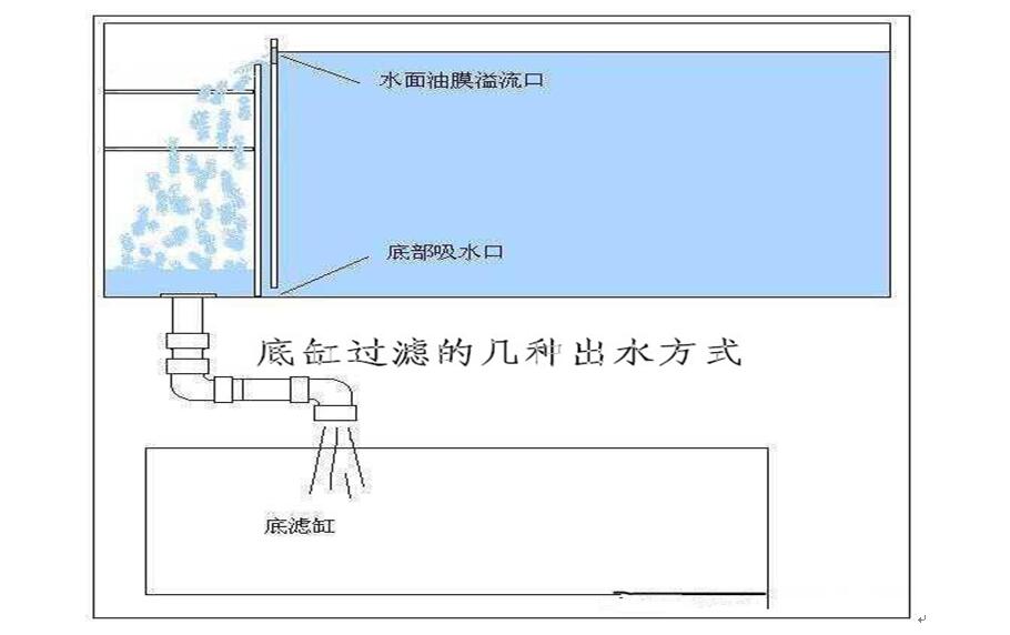 小型鱼缸过滤怎么设计,家庭鱼缸定制注意事项