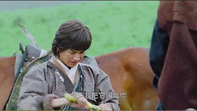 郭靖黄蓉黄日华版,郭靖黄日华射雕场面