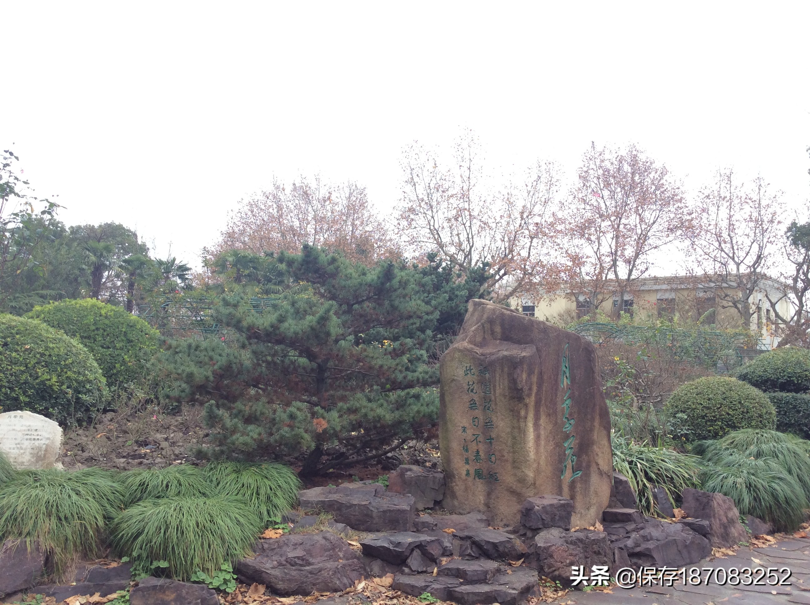 上海普陀山公园,普陀区长风公园在哪