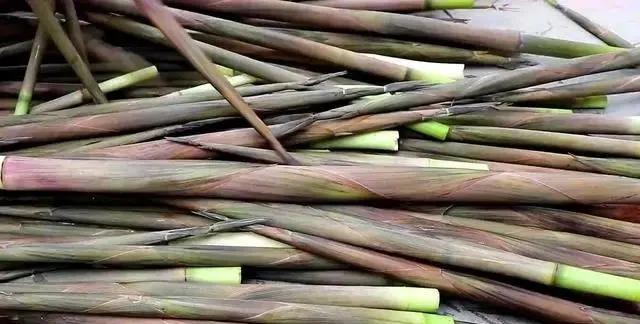 春笋吃不完怎么办,春笋太多吃不完怎么办做成笋干