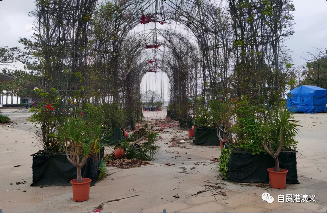 恒大美丽沙最新真实消息现状,恒大美丽沙降价了吗