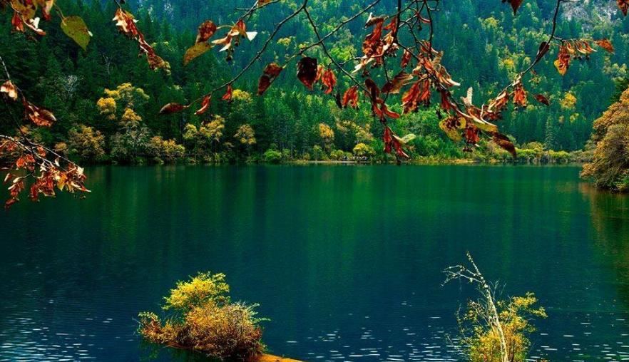 这80个旅行冷知识你中枪了几个,旅行冷知识你中枪了几个