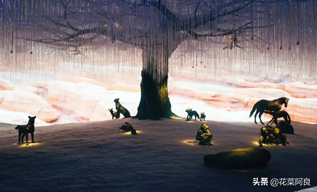 大报恩寺地宫发掘到了舍利子,南京大报恩塔舍利子文物