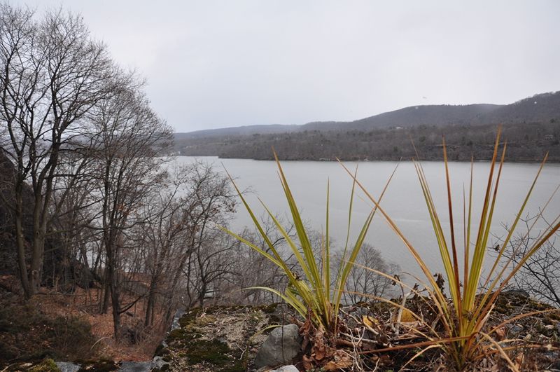 椤堕鍐掗洩楠戣,椤堕鍐掗洩楠戣鏀荤暐