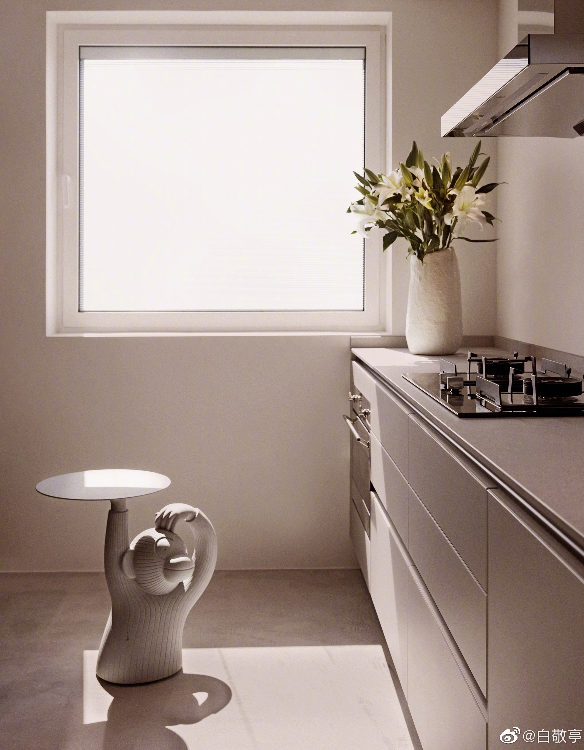 白敬亭家世 (白敬亭的家世)