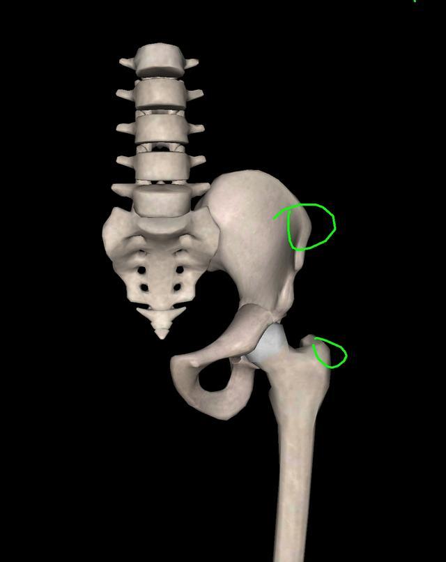 你以为自己骨架大腿又短，其实是假胯宽造成的，自己完全可以调整