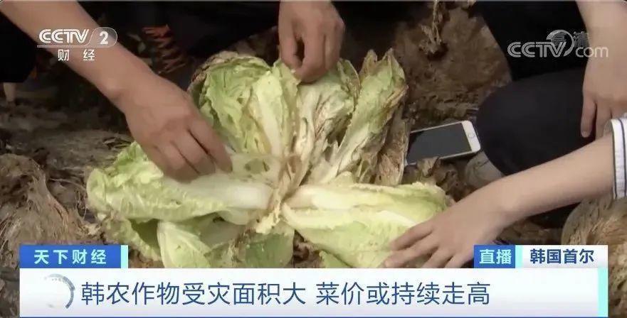 讲了一个悲伤故事,讲一个悲伤的故事吧