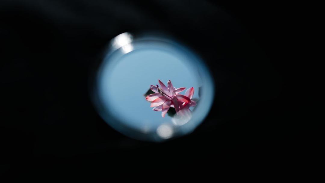 微信红包看出一个男的是否爱你,从红包看出男人是否爱你