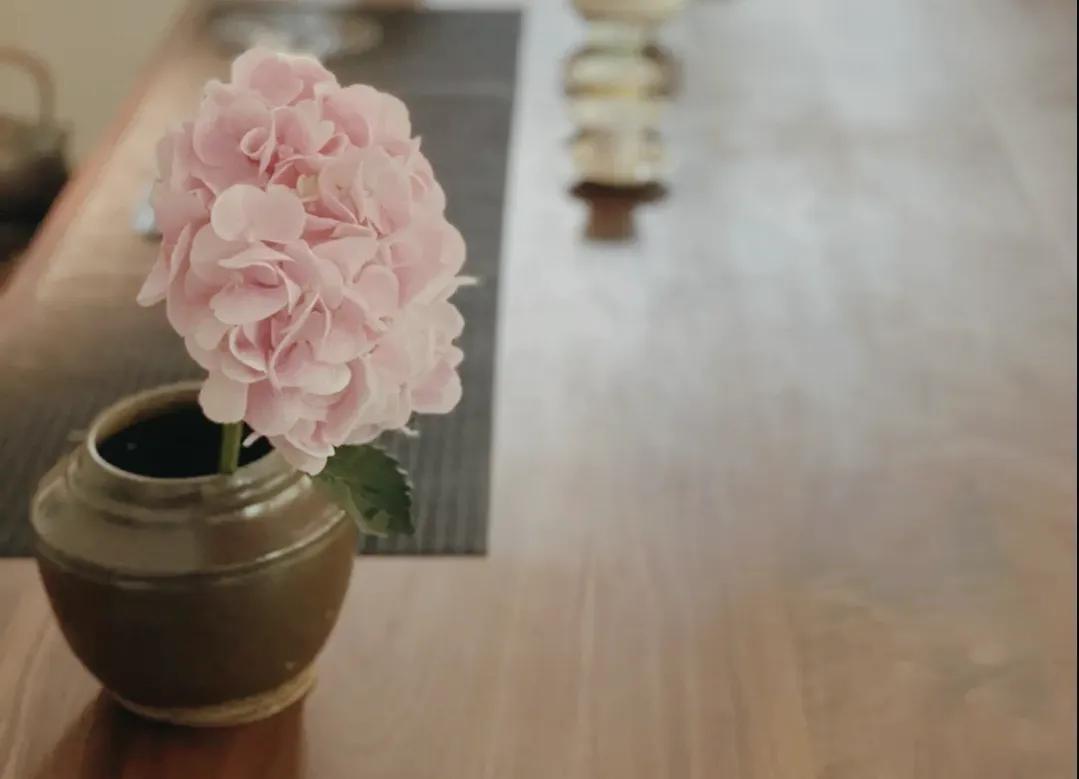 一家中古奢侈店的声色世界,一家中古奢侈品店里的人生17集