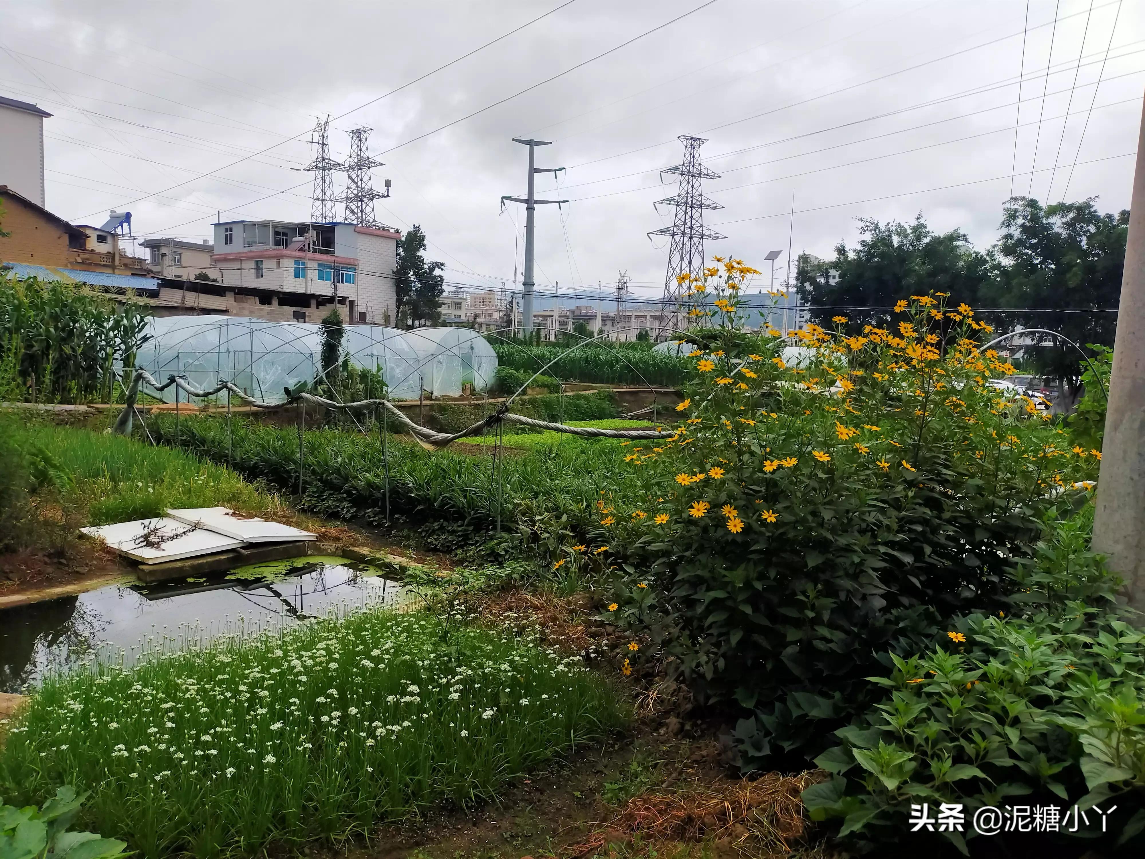 在农村没工作干什么可以赚钱,农民不去打工怎么赚钱