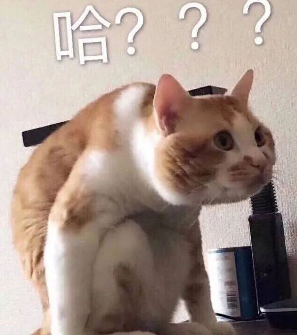 只想好好读书怎么回,只想好好看书结果书里全是套路