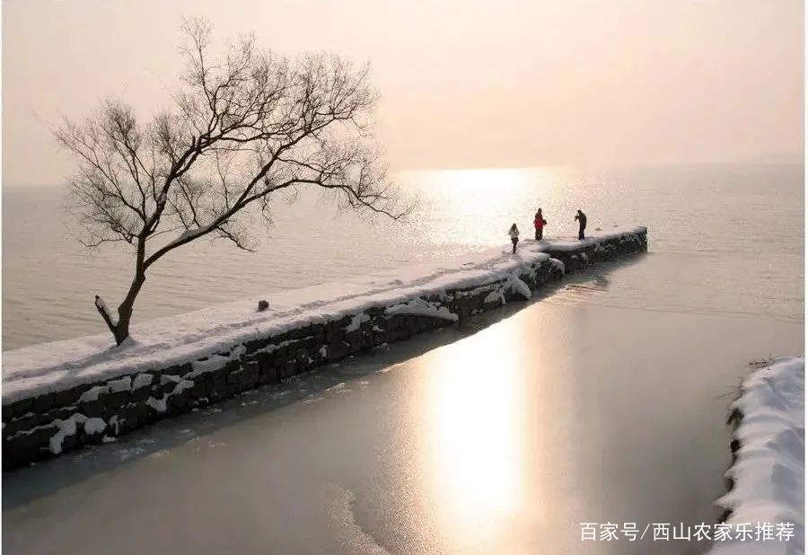 苏州西山网红打卡地樱花,苏州西山风景区有什么好玩的地方